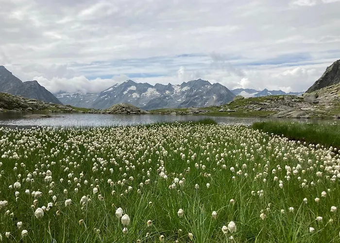 Thurnbach Apartamento *